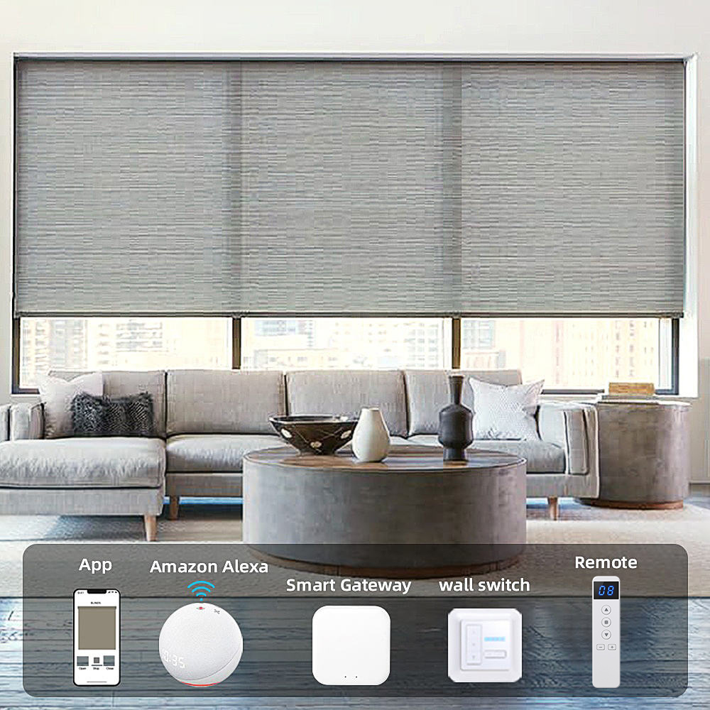 Smart Home Blinds - Motorized Rechargeable Remote Buy Roller Shades