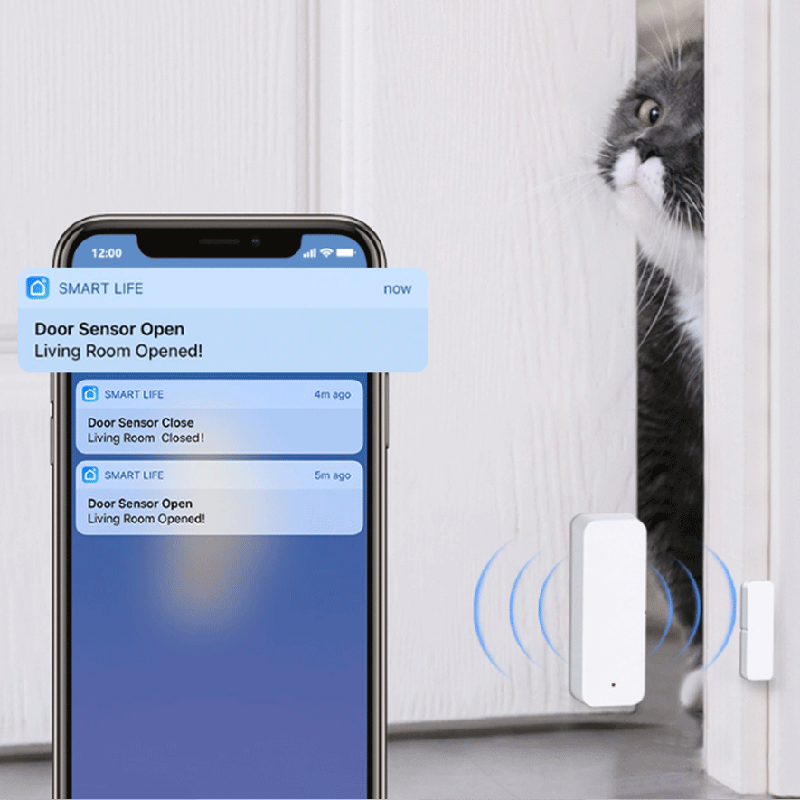 Tuya WiFi Zigbee Door Window S - Smart Home Life review and price