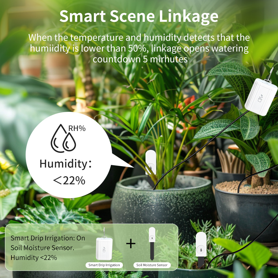 Smart Zigbee 3.0 Soil Tester H - Smart Home Zigbee 3.0 review and price