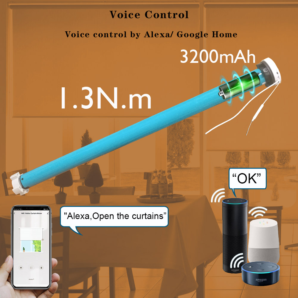 Boyarca 1.3N.m Battery Tuya Zi - Smart Home Blinds review and price